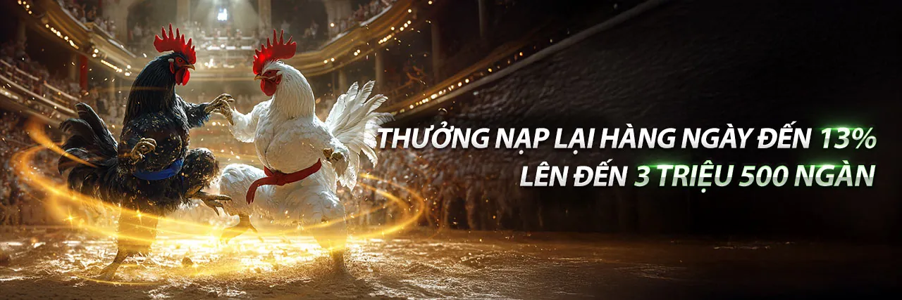 Đá gà trực tuyến kịch tính tại JN88 Code 2026
