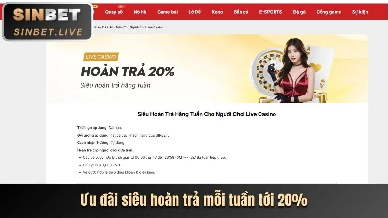 Thưởng hàng ngày và hoàn trả game bắn cá JN88 Code